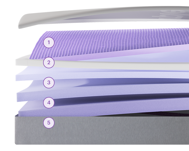 PurpleRenew exploded view with numbers