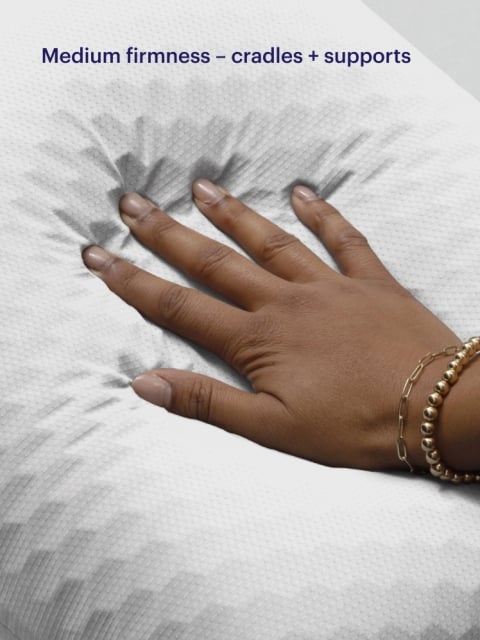 Harmony anywhere pillow hand press