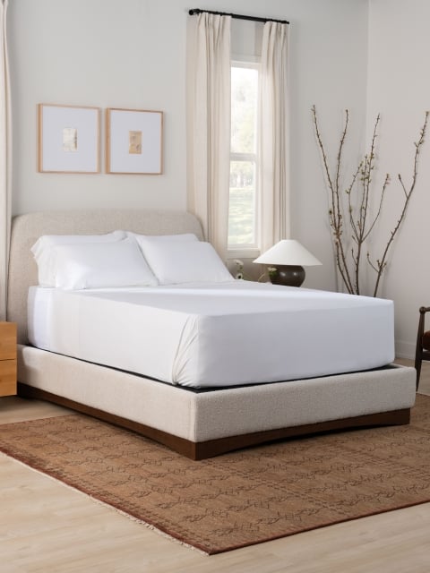 SS sheets white